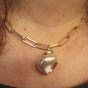 Gold Plated Shells Set